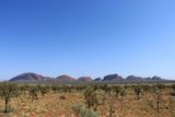 IMG_4334.JPG