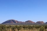 IMG_4335.JPG