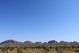 IMG_4341.JPG