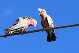IMG_4366.JPG