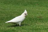 IMG_3815.JPG