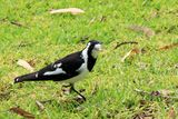 IMG_3824.JPG