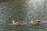 IMG_3919.JPG