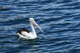 IMG_4551.JPG