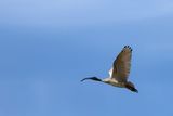 IMG_4560.JPG