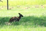 IMG_4614.JPG
