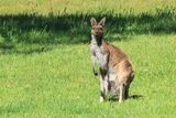IMG_4653.JPG
