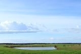 IMG_4671.JPG