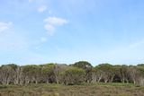 IMG_4695.JPG
