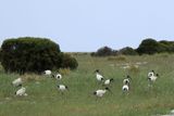 IMG_4835.JPG