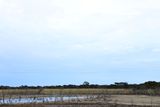 IMG_4837.JPG
