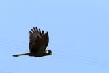 IMG_4846.JPG