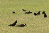 IMG_4850.JPG