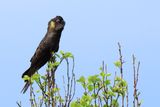 IMG_4859.JPG