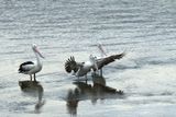 IMG_4867.JPG