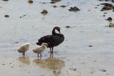 IMG_4873.JPG