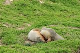 IMG_4910.JPG