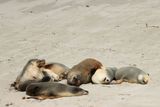 IMG_4916.JPG