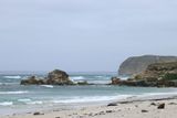 IMG_4926.JPG