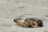IMG_4927.JPG
