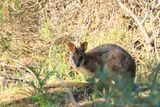 IMG_4976.JPG