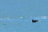 IMG_4997.JPG