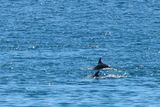 IMG_5003.JPG