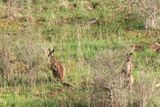 IMG_5032.JPG