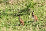 IMG_5038.JPG