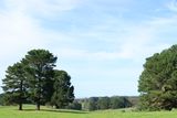 IMG_5039.JPG