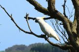 IMG_5048.JPG