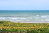 IMG_5062.JPG