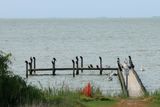 IMG_5101.JPG