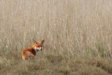 IMG_5103.JPG