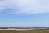 IMG_5138.JPG