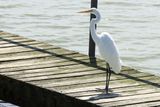 IMG_5149.JPG