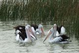 IMG_5152.JPG