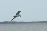 IMG_5161.JPG