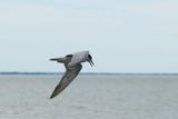 IMG_5163.JPG