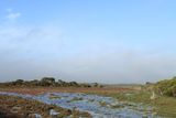 IMG_5188.JPG