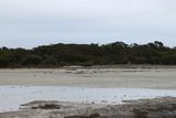 IMG_5197.JPG