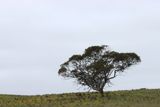 IMG_5203.JPG