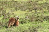 IMG_5215.JPG