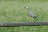 IMG_5233.JPG