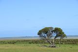 IMG_5253.JPG