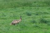 IMG_5272.JPG
