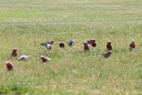 IMG_5286.JPG