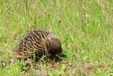 IMG_5295.JPG