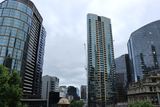 IMG_5893.JPG