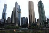 IMG_5905.JPG